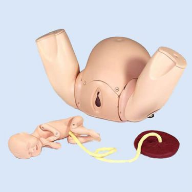 PROMPT Flex Birthing Simulator